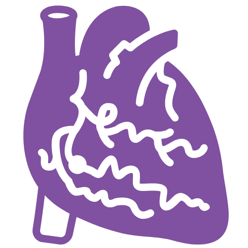 Angiography and Angioplasty | Krystle By Batras Clinic | Dr. Navida Batra Angiography and Angioplasty | Krystle By Batras Clinic | Dr. Navida Batra | Best Interventional Cardiologist in Delhi NCR