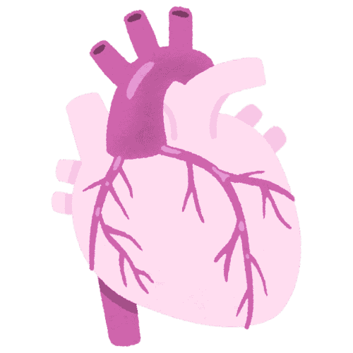 Interventional Cardiology | Krystle By Batras Clinic | Dr. Navida Batra Interventional Cardiology | Krystle By Batras Clinic | Dr. Navida Batra | Best Interventional Cardiologist in Delhi NCR